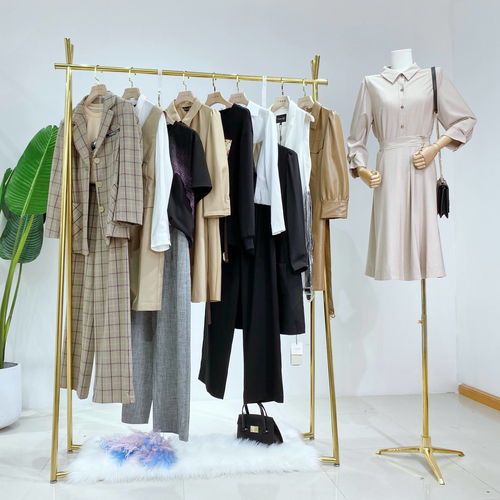 深圳東洋國(guó)際女裝批發(fā)市場(chǎng)拿貨攻略及檔口